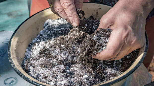 Аграрии призвали Минсельхоз принять меры по снижению цен на удобрения