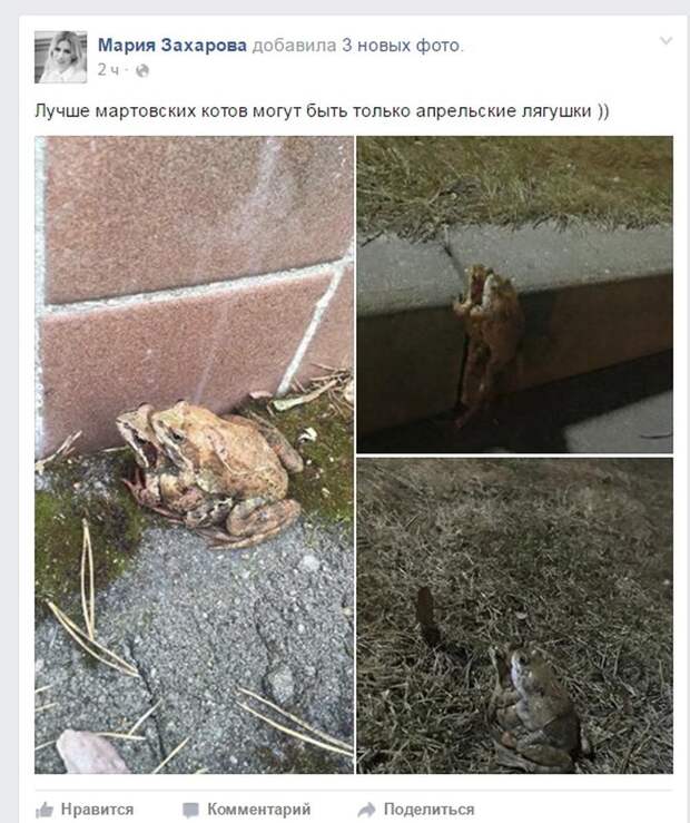 захарова1