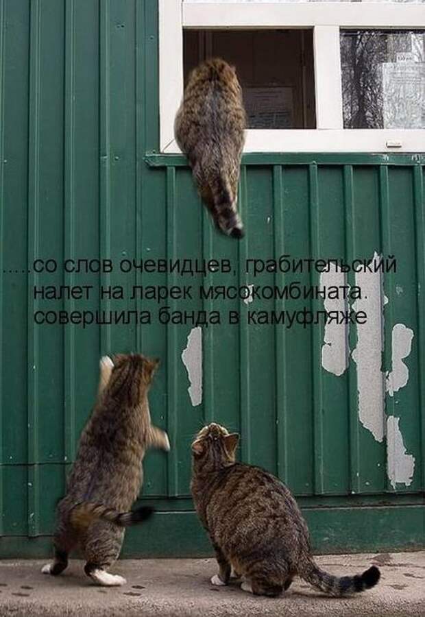 Мысли вслух :)