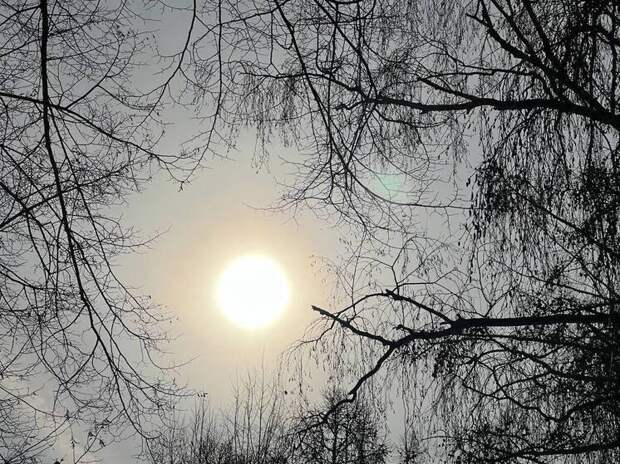 19 марта 2026 года: какой сегодня праздник, церковные и светские даты в России и мире