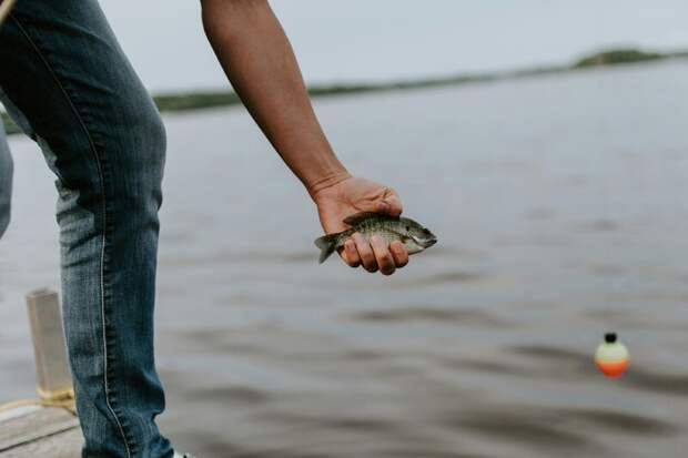 В Свердловской области в период запрета на рыбалку осталось три доступных водоема
