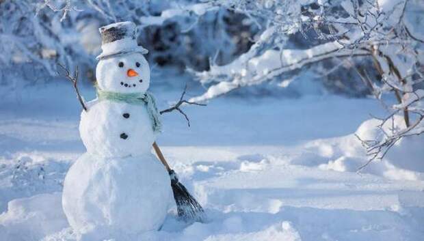 18 января — Всемирный день снеговика!