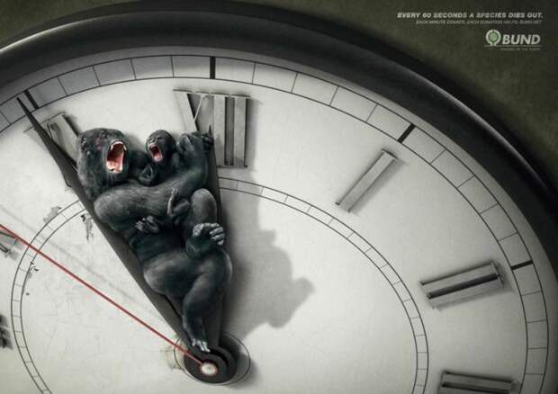 рекламные кампании о животных раскрывающие правду (9)