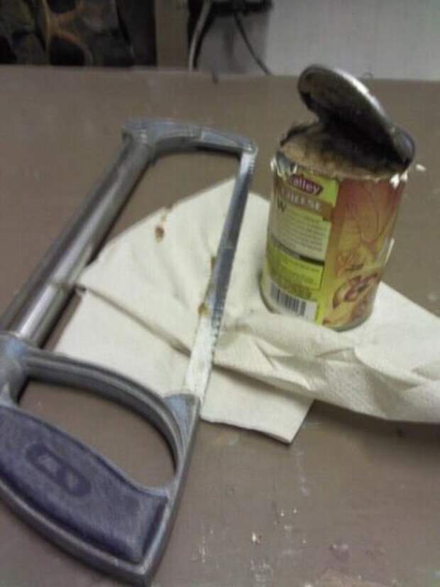 Прикольные картинки Прикольные картинки