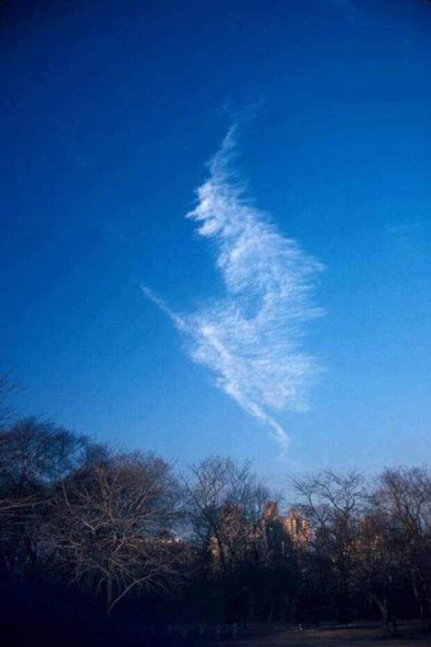 Хорошее настроение в прикольных фото и картинках (49 шт)