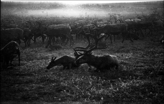 Негород в снимках красноярского фотографа Александра Кустова 20