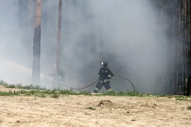 Последние данные о пожаре в Брянске. Нефтебазу поразили ударом с самолёта?