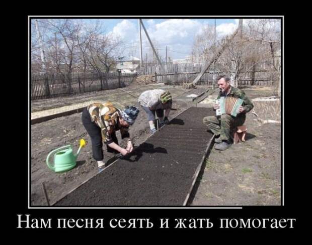 Демотиваторы (30 фото)