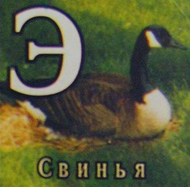 Китайская свинья на букву «Э». Китайская свинья на букву «Э».
