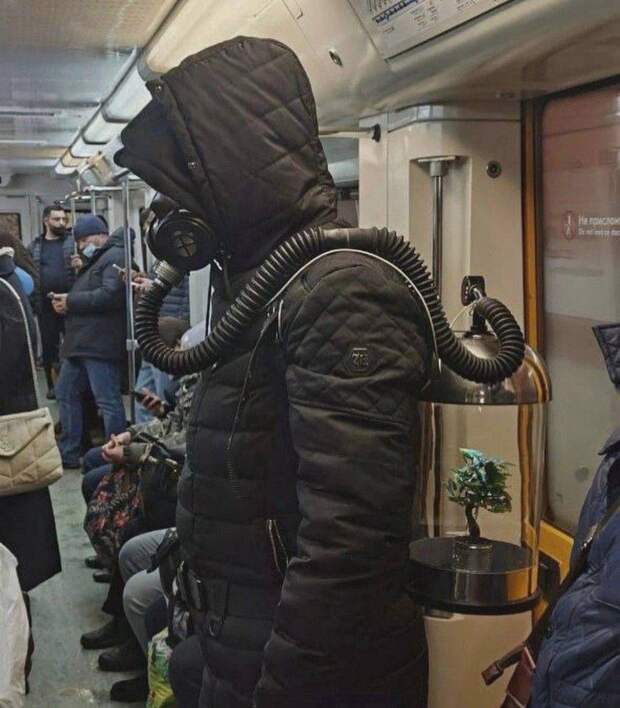 Подборка прикольных картинок