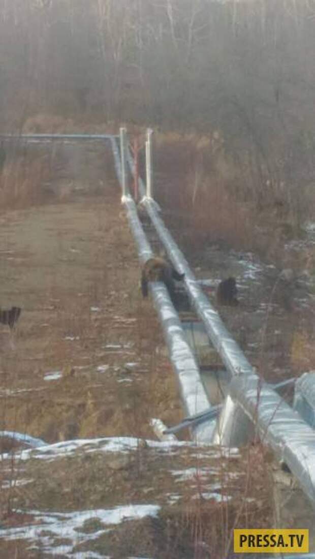 Прикольные фотографии