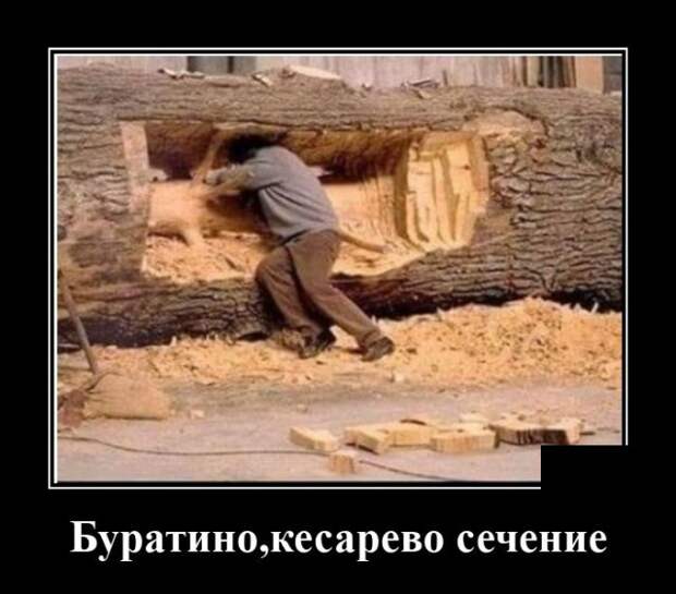 Демотиваторы 29 сентября 2021 года