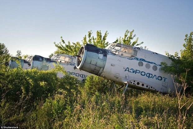 20. Несколько Ан-2 на одном из заброшенных аэропортов. заброшенное, заброшенные места, заброшенные объекты, интересное, находки, подборка, разрушенное, фото