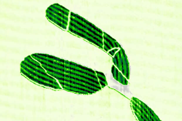 Nature Physics: в графене зафиксирована квантовая жидкость Дирака