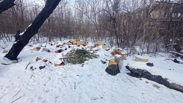 Зелёный, Макеевка