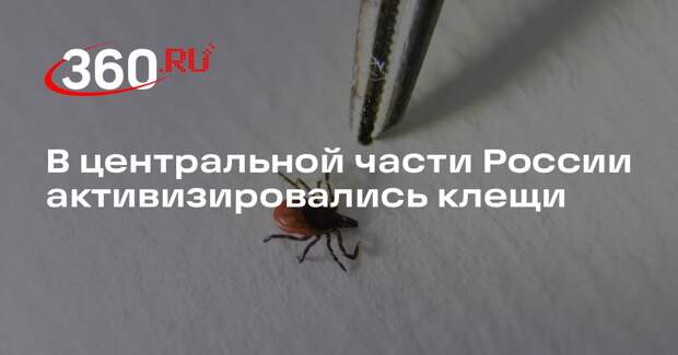 В центральной части России активизировались клещи