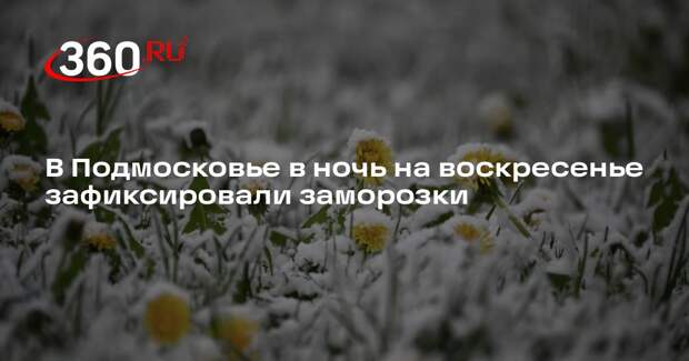 Синоптик Леус: в столичном регионе в ночь на воскресенье наблюдались заморозки