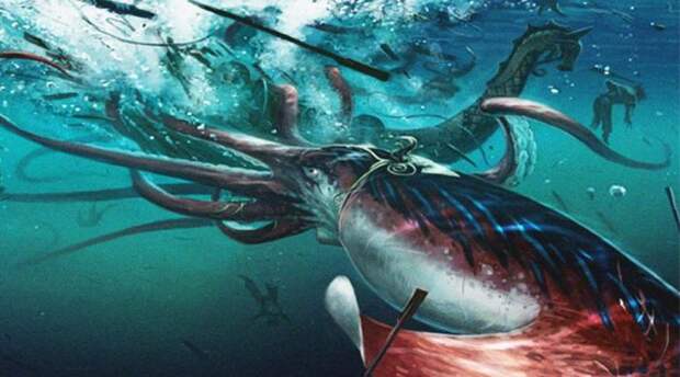 Гигантский кальмар Долгое время гигантские кальмары считались всего лишь выдумкой матросов. Однако, первый живой кальмар был снят на камеру в июле 2012 года: он достигал 13 метров в длину и весил около полутонны.