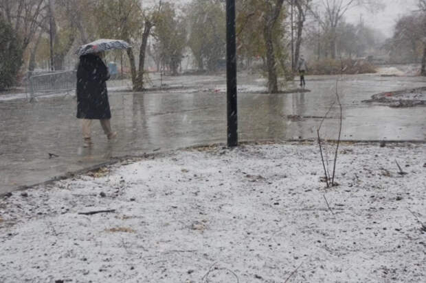 Позднякова предупредила об арктическом похолодании и снеге в Москве