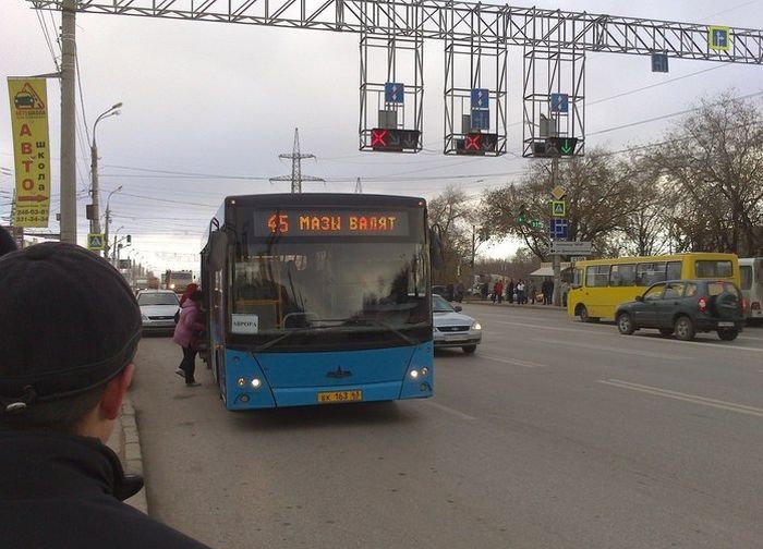 Прикольные картинки