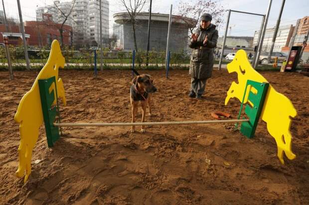 Фото: Зыков Кирилл/ АГН Москва