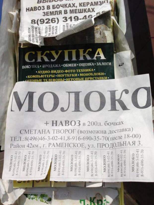 Шедевральные объявления и надписи