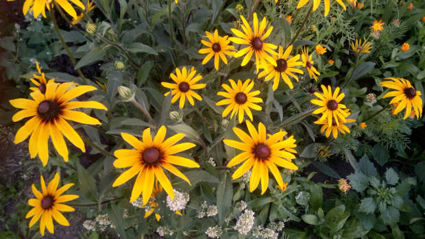 Стоит лишать ребёнка с аутизмом хлеба, молока и сахара или можно "вылечить" болезнь другим способом?