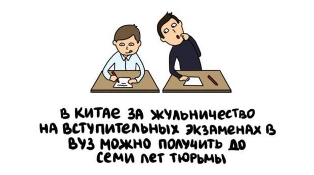Короткие интересные факты обо всем