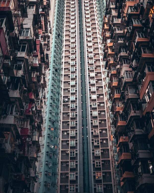 архитектура, здание