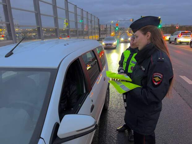 В Туле прошла акция "Засветись!"