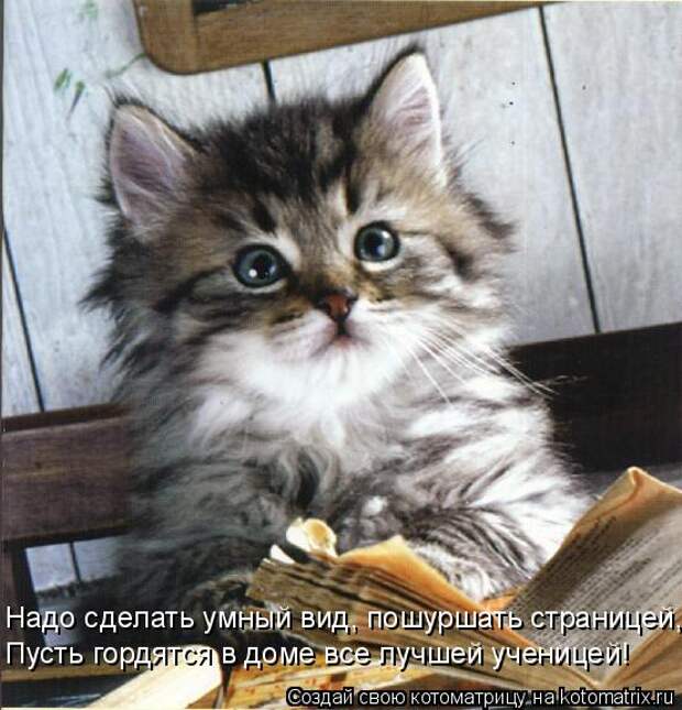 Надо сделать умный вид, пошуршать страницей, Пусть гордятся в доме все лучшей ученицей!
