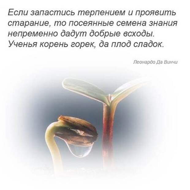 мудрые мысли