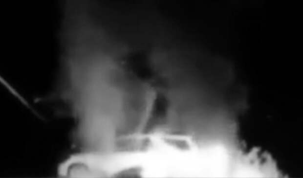 «Мозгов нет»: ветеран морской пехоты резко высказался о поджигателях из Владивостока