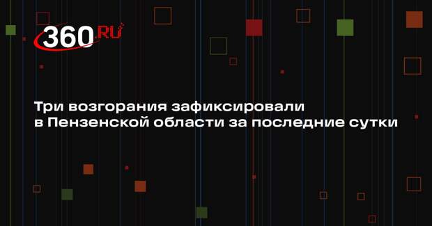 Три возгорания зафиксировали в Пензенской области за последние сутки