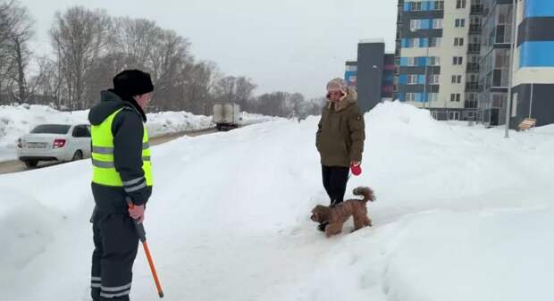 В Казани прошел рейд по выявлению нечипированных собак