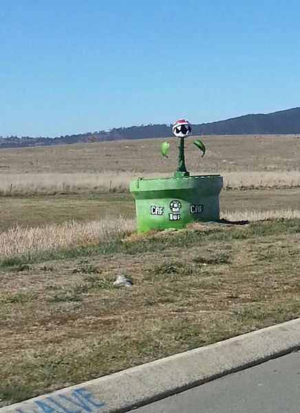 Прикольные картинки