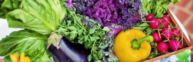 Правительство Казахстана увеличило перечень товаров с госрегулированием цен