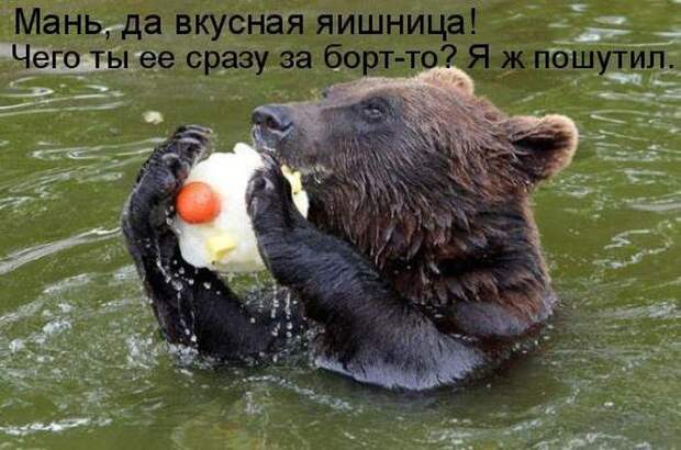 Мысли вслух :)