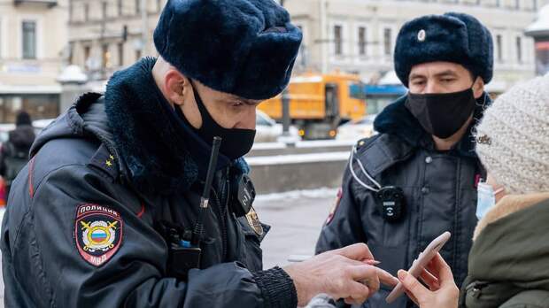 Вычисление незаконных призывов по IP, цифровизация выгула собак и обезьяньи инвестиции