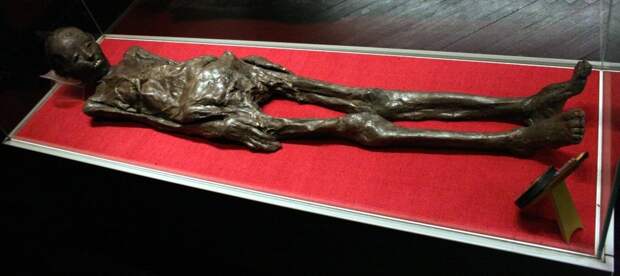 Liber Linteus: египетская мумия, заключенная в секретное сообщение 6
