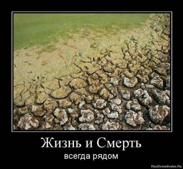 Прикольные демотиваторы с надписями. Подборка chert-poberi-dem-chert-poberi-dem-33130625062020-9 картинка chert-poberi-dem-33130625062020-9