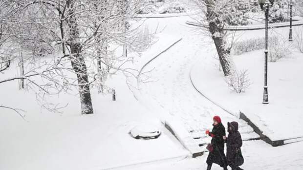 Вильфанд: эта зима в Москве была рекордной по количеству осадков