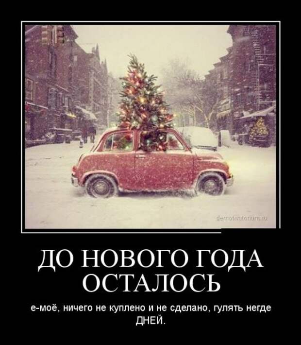 Демотиваторы №171 (30 фото)