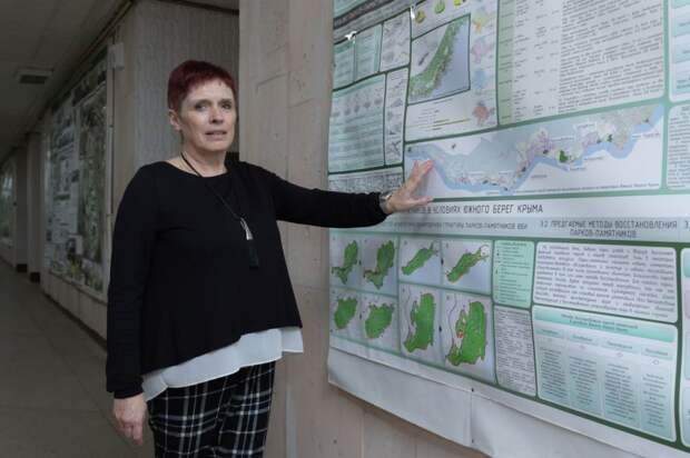 Почему исчезают пляжи в Евпатории и какие берегоукрепительные сооружения нужны Крыму: интервью с доктором технических наук Натальей Ветровой