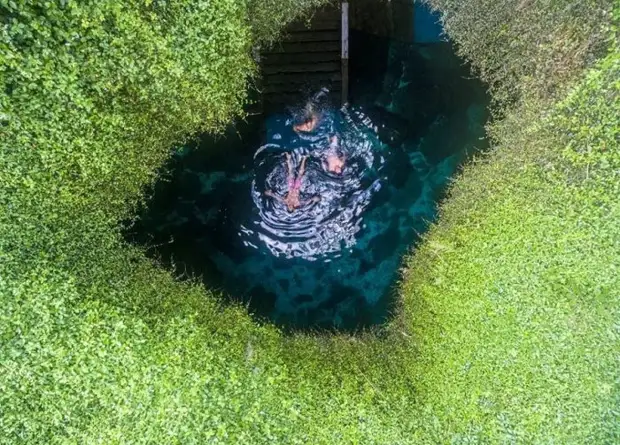 Кресло Дьявола: самое мистическое место во Флориде