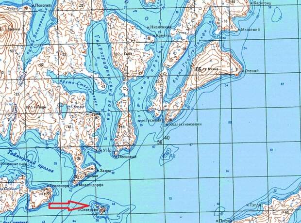 Сиверсия - миниатюрный островок в Карском море / Фото: yandex.ru