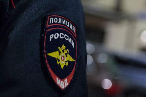 Полиция. Фото: mos.ru