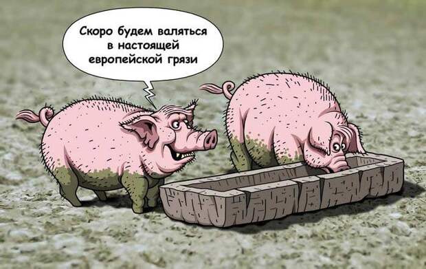 Украина. Итоги года жизни с широко закрытыми глазами Украина. Итоги года жизни с широко закрытыми глазами