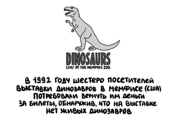 Короткие интересные факты обо всем
