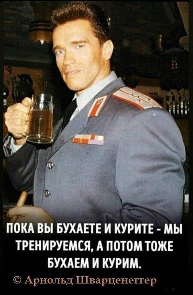 alkopost-kartinki-smeshnye-kartinki-fotoprikoly